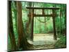 Mountain Shrine, Yakushima, Kagoshima, Japan-Rob Tilley-Mounted Photographic Print