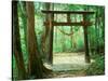 Mountain Shrine, Yakushima, Kagoshima, Japan-Rob Tilley-Stretched Canvas