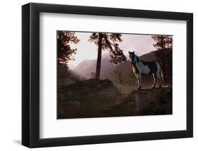 Mountain Splendor-Steve Hunziker-Framed Art Print