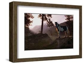 Mountain Splendor-Steve Hunziker-Framed Art Print