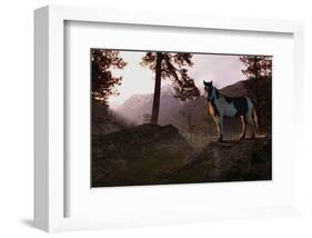 Mountain Splendor-Steve Hunziker-Framed Art Print