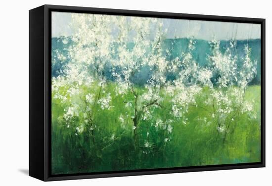 Mountain Spring-Julia Purinton-Framed Stretched Canvas