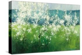 Mountain Spring-Julia Purinton-Stretched Canvas