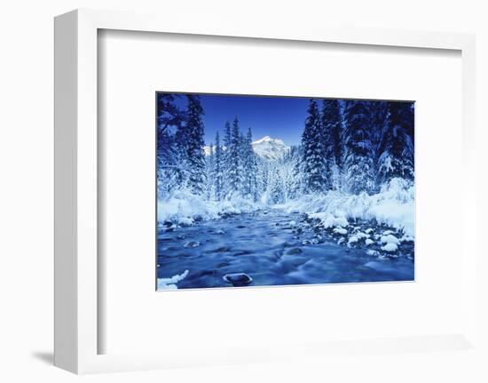 Mountain, stream and forest in winter, Banff National Park, Alberta, Canada-Panoramic Images-Framed Photographic Print