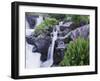 Mountain Stream and Wildflowers, Ouray, San Juan Mountains, Rocky Mountains, Colorado, USA-Rolf Nussbaumer-Framed Photographic Print