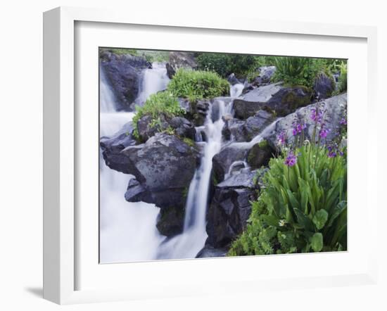 Mountain Stream and Wildflowers, Ouray, San Juan Mountains, Rocky Mountains, Colorado, USA-Rolf Nussbaumer-Framed Photographic Print