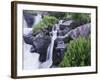 Mountain Stream and Wildflowers, Ouray, San Juan Mountains, Rocky Mountains, Colorado, USA-Rolf Nussbaumer-Framed Photographic Print