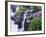 Mountain Stream and Wildflowers, Ouray, San Juan Mountains, Rocky Mountains, Colorado, USA-Rolf Nussbaumer-Framed Photographic Print