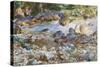 Mountain Stream, c.1912-14-John Singer Sargent-Stretched Canvas