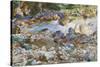 Mountain Stream, c.1912-14-John Singer Sargent-Stretched Canvas