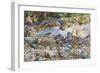 Mountain Stream, c.1912-14-John Singer Sargent-Framed Giclee Print