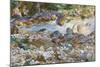 Mountain Stream, c.1912-14-John Singer Sargent-Mounted Giclee Print