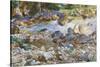 Mountain Stream, c.1912-14-John Singer Sargent-Stretched Canvas