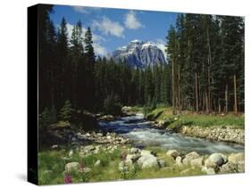 Mountain Stream Cascading over Rocks-James Randklev-Stretched Canvas