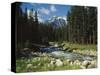 Mountain Stream Cascading over Rocks-James Randklev-Stretched Canvas