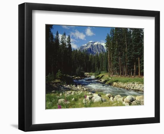 Mountain Stream Cascading over Rocks-James Randklev-Framed Photographic Print