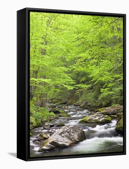 Mountain Stream, Great Smoky Mountains National Park, North Carolina, Usa-Adam Jones-Framed Stretched Canvas