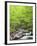 Mountain Stream, Great Smoky Mountains National Park, North Carolina, Usa-Adam Jones-Framed Photographic Print