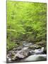 Mountain Stream, Great Smoky Mountains National Park, North Carolina, Usa-Adam Jones-Mounted Photographic Print