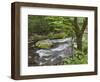 Mountain Stream, Great Smoky Mountains National Park, North Carolina, Usa-Adam Jones-Framed Photographic Print