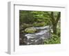 Mountain Stream, Great Smoky Mountains National Park, North Carolina, Usa-Adam Jones-Framed Photographic Print