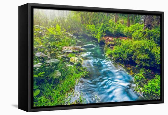 Mountain Stream in Green Forest. Carpathians, Ukraine-goinyk-Framed Stretched Canvas