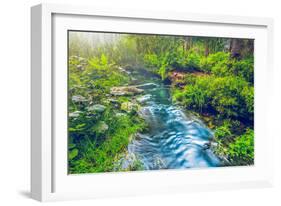 Mountain Stream in Green Forest. Carpathians, Ukraine-goinyk-Framed Photographic Print