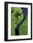 Mountain Stream in Iceland-Paul Souders-Framed Photographic Print