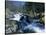Mountain Stream in La Massana in Andorra, Europe-Jeremy Bright-Stretched Canvas