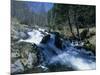 Mountain Stream in La Massana in Andorra, Europe-Jeremy Bright-Mounted Photographic Print