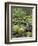 Mountain Stream in Old Growth Forest at Sol Duc, Olympic National Park, Washington, USA-Rob Tilley-Framed Photographic Print