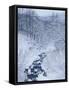 Mountain Stream in Snow-null-Framed Stretched Canvas