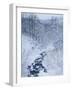 Mountain Stream in Snow-null-Framed Photographic Print