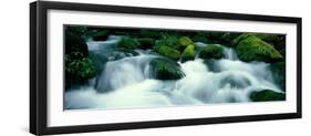 Mountain Stream Kyoto Japan-null-Framed Photographic Print