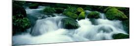 Mountain Stream Kyoto Japan-null-Mounted Photographic Print
