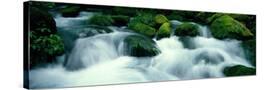 Stretched Canvas