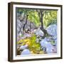 Mountain stream,Lefkas,Greece, 2009-Andrew Macara-Framed Giclee Print