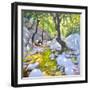 Mountain stream,Lefkas,Greece, 2009-Andrew Macara-Framed Giclee Print