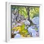 Mountain stream,Lefkas,Greece, 2009-Andrew Macara-Framed Giclee Print