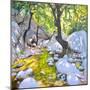 Mountain stream,Lefkas,Greece, 2009-Andrew Macara-Mounted Giclee Print