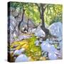 Mountain stream,Lefkas,Greece, 2009-Andrew Macara-Stretched Canvas