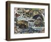 Mountain Stream Near Champéry, 1916-Ferdinand Hodler-Framed Giclee Print