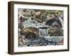 Mountain Stream Near Champéry, 1916-Ferdinand Hodler-Framed Giclee Print