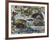 Mountain Stream Near Champéry, 1916-Ferdinand Hodler-Framed Giclee Print