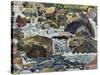 Mountain Stream Near Champéry, 1916-Ferdinand Hodler-Stretched Canvas