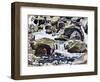 Mountain Stream Near Champéry-Ferdinand Hodler-Framed Giclee Print