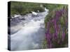 Mountain Stream, Ouray, San Juan Mountains, Rocky Mountains, Colorado, USA-Rolf Nussbaumer-Stretched Canvas