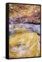 Mountain Stream Swirl, Sierra Nevada-Vincent James-Framed Stretched Canvas