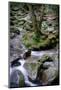 Mountain Stream, Tennessee-Steve Gadomski-Mounted Photographic Print