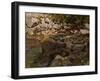 Mountain Stream with Boulders, 1888-1889-Carl Schuch-Framed Giclee Print